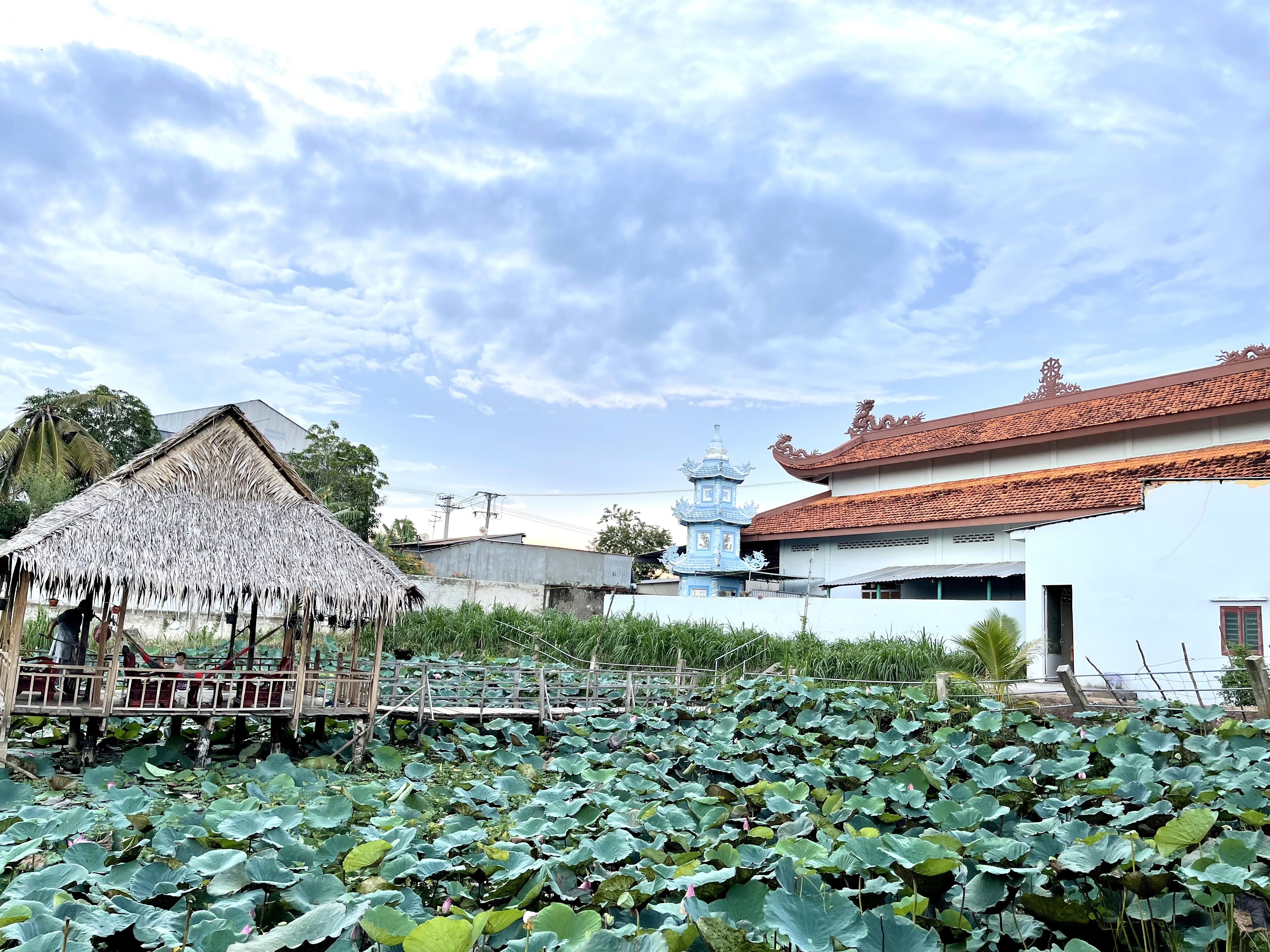 Hồng Ngự Quê Tôi Gallery 1