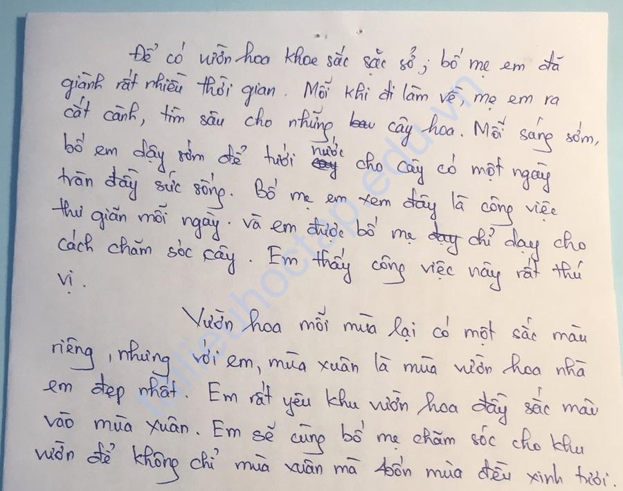 Tả khu vườn nhà em lớp 5 ngắn gọn Gallery 1