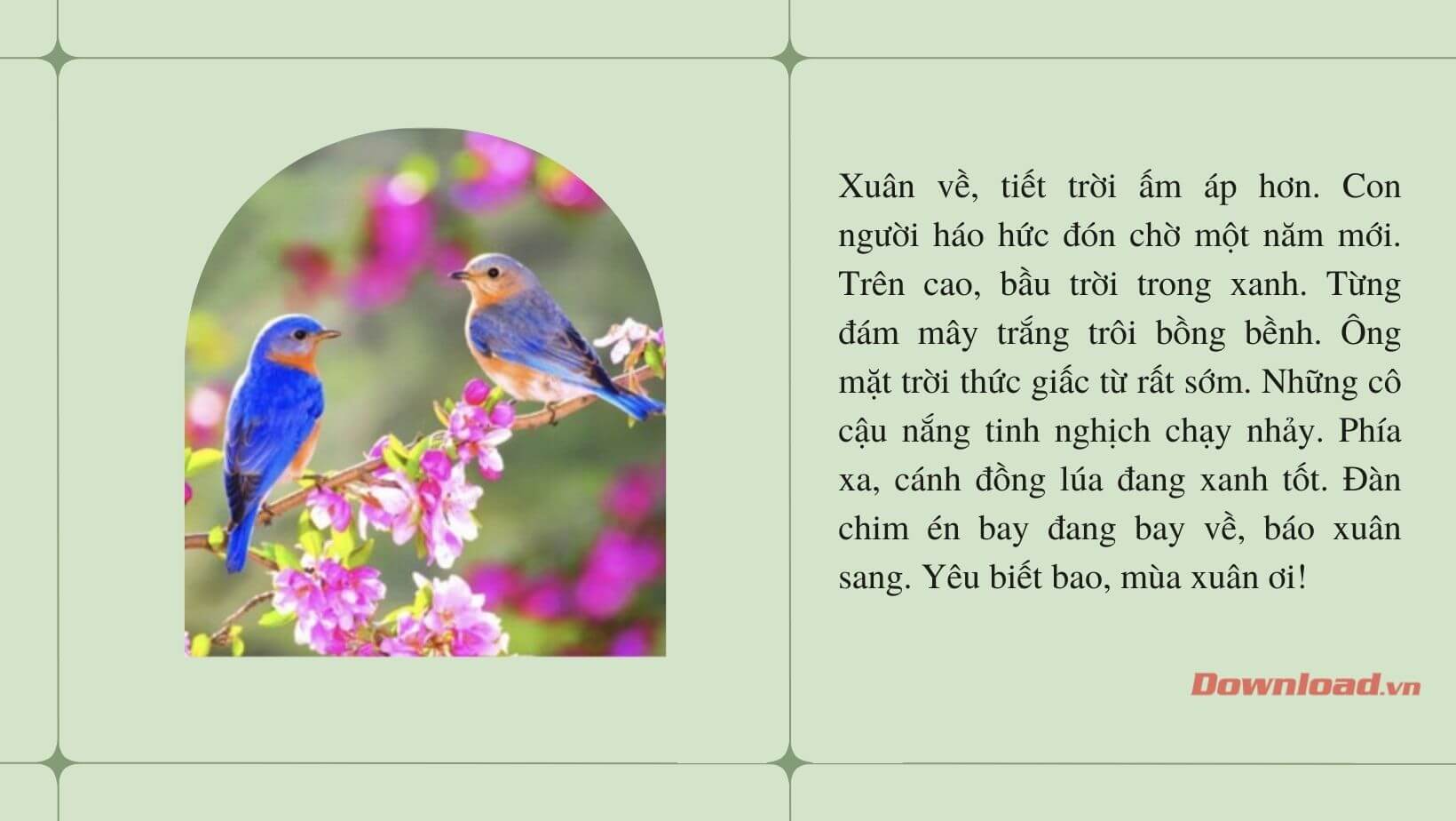 Viết Đoạn Văn Ngắn Về Mùa Xuân Gallery 1