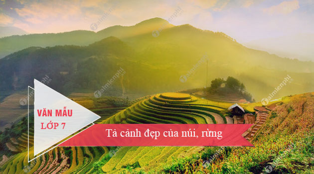 Những vẻ đẹp say đắm lòng người ở quê tôi Gallery 2