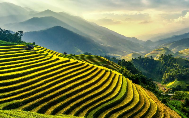 Phân tích Chốn Quê Gallery 1