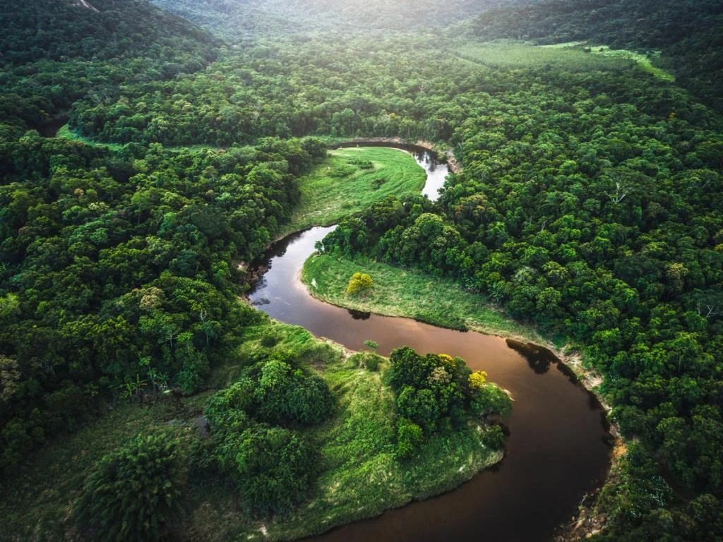 Thiên Nhiên: Vẻ đẹp kỳ diệu và tầm quan trọng của hệ sinh thái Gallery 1