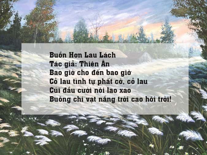 Thơ về Hoa Cỏ Lau Gallery 1