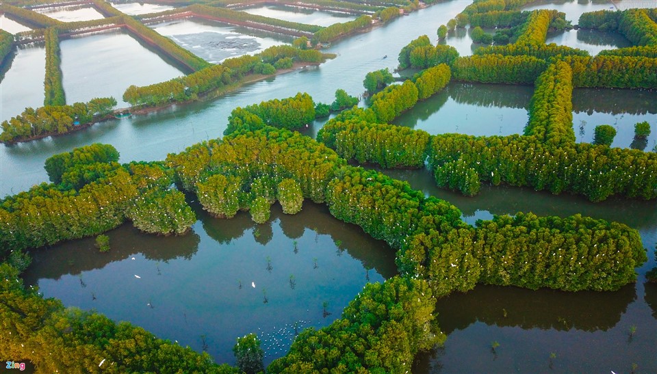 Cồn Chim Quy Nhơn: Khám phá hòn đảo hoang sơ quyến rũ Gallery 1