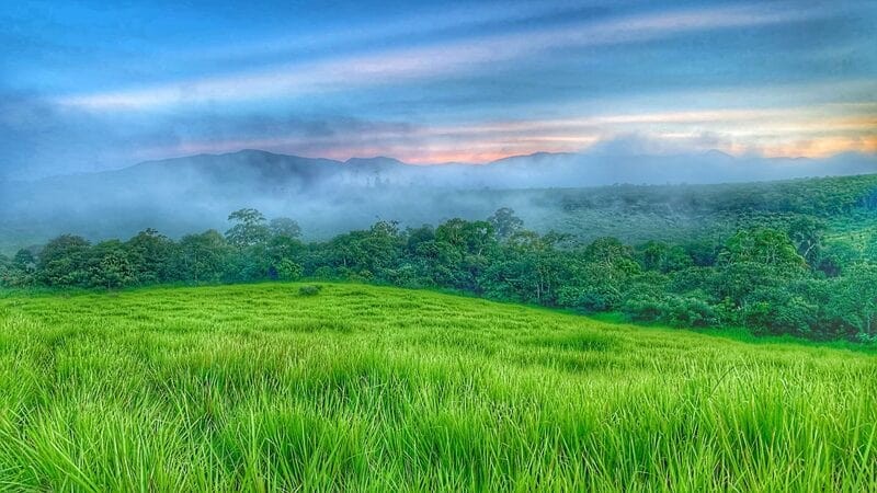 Đồi Cỏ Măng Đen Gallery 1
