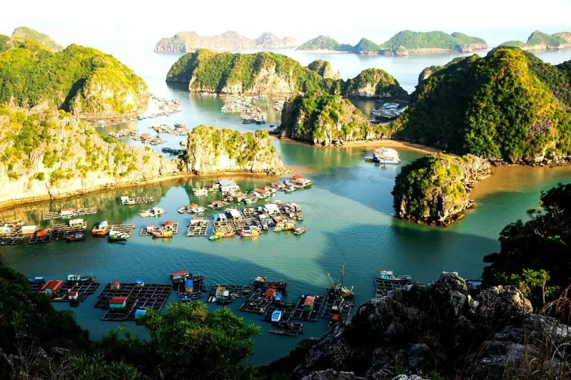Làng chài Cái Bèo Gallery 1