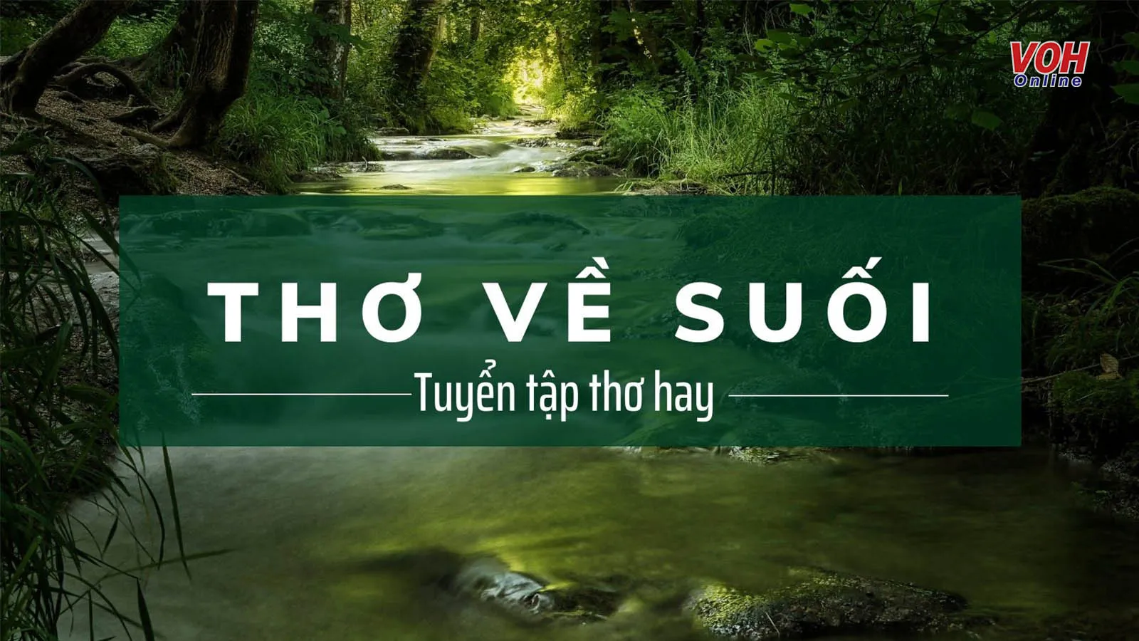 Thơ về Suối Rừng - Vẻ Đẹp Hoang Sơ Của Thiên Nhiên Gallery 2