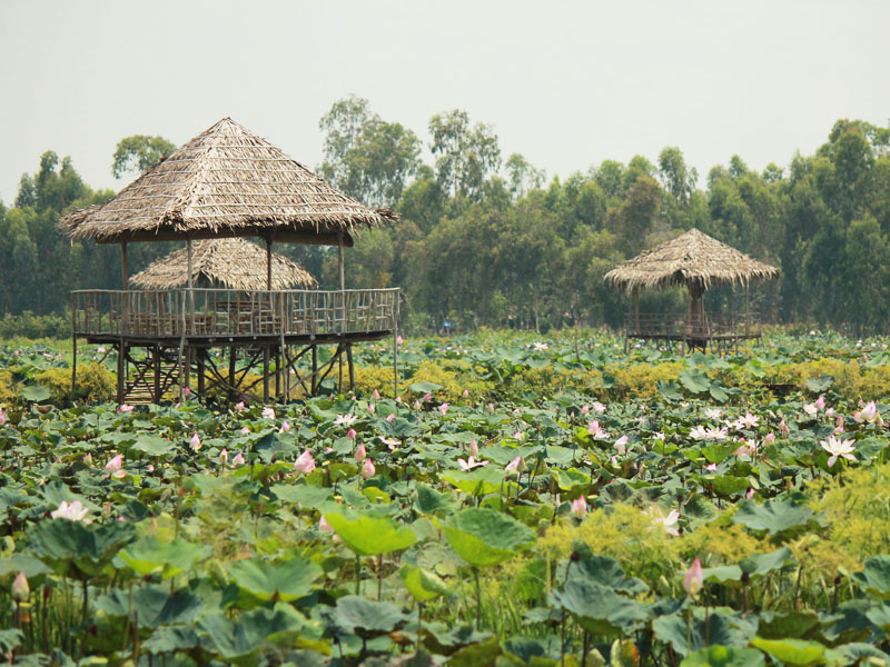 Tháp Mười Đồng Tháp Gallery 1
