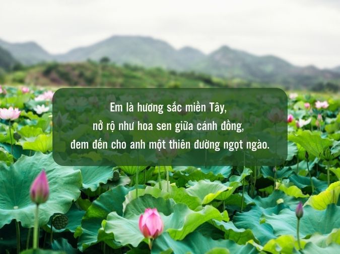 Thả Thính Miền Tây: Em Có Muốn Trở Thành "Nàng thơ" Của Đồng Tháp Mười? Gallery 1