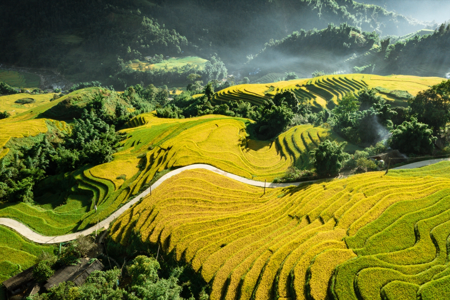 Anh Thơ Sapa - Nơi Gặp Gỡ Đất Trời Gallery 1