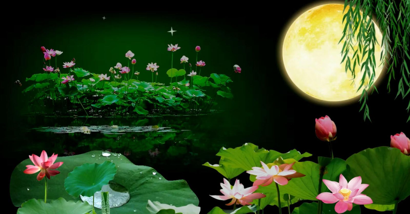 Trăng Sáng Trên Đầm Sen Gallery 1