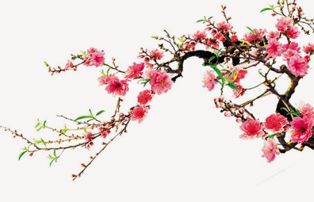 Thơ về Hoa Đào Trung Quốc Gallery 1