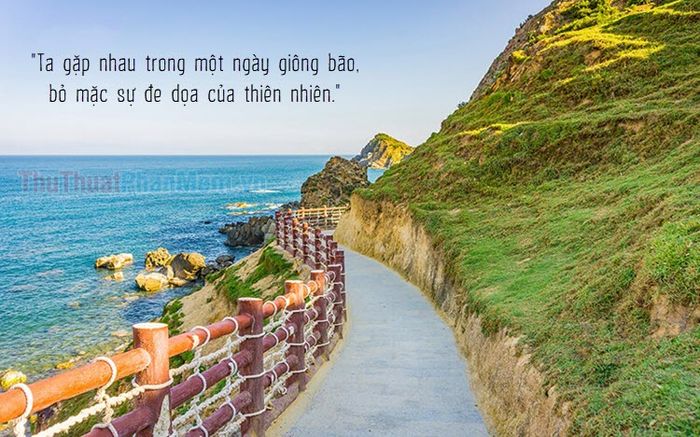 Những Câu Nói Hay Về Thiên Nhiên Gallery 1