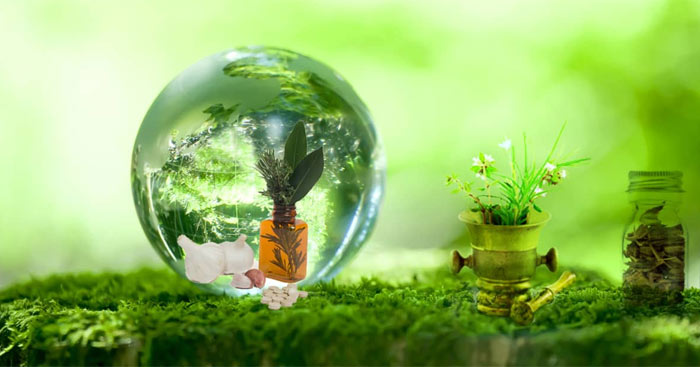 Nghị luận về Thiên nhiên: Vẻ đẹp, ý nghĩa và sự bảo vệ Gallery 1