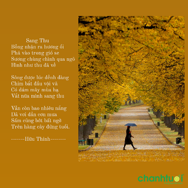 Thơ Hay Về Mùa Thu - Cảm Nhận Mùa Thu Qua Những Vần Thơ Đẹp Gallery 1
