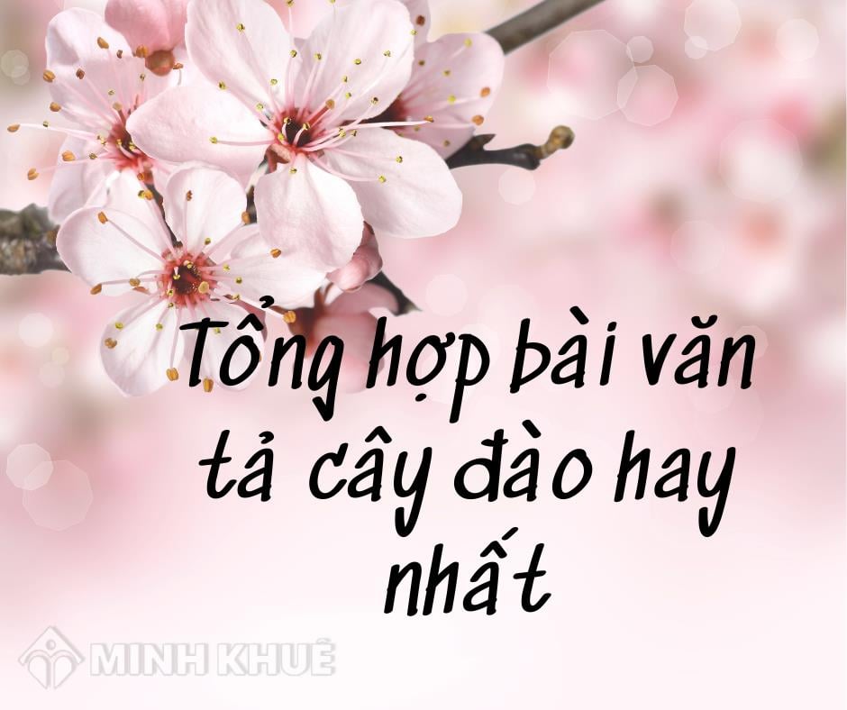 Văn Tả Cây Đào Gallery 1