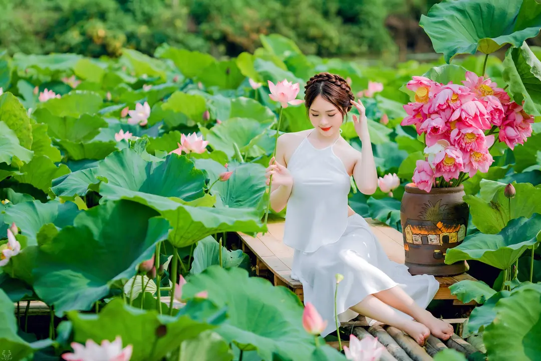 Cảnh Đầm Sen Đẹp Ngây Ngất Lòng Người Gallery 1