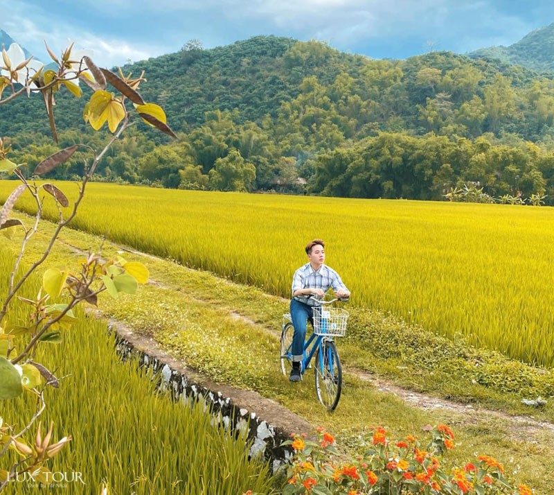 Mai Châu mùa em thơm nếp xôi Gallery 1