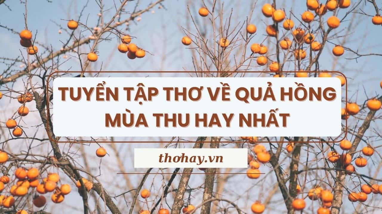 Thơ về quả hồng mùa thu Gallery 1
