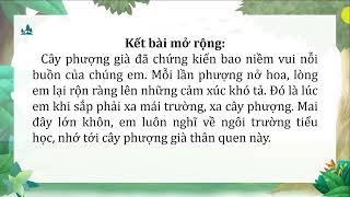 Bài Văn Tả Cây Phượng Lớp 4 Kết Bài Mở Rộng Gallery 1