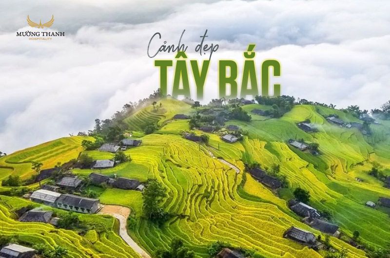 Vẻ đẹp Tây Bắc: Khám phá thiên nhiên hùng vĩ và văn hóa độc đáo