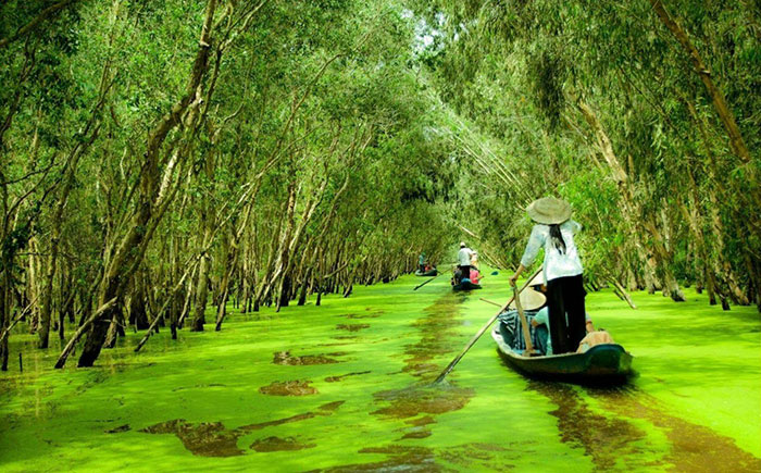 Quê Em Miền Tây: Vẻ đẹp bình yên và trù phú Gallery 1