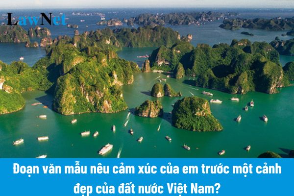 Cảm nghĩ của em về cảnh đẹp của đất nước Việt Nam Gallery 1