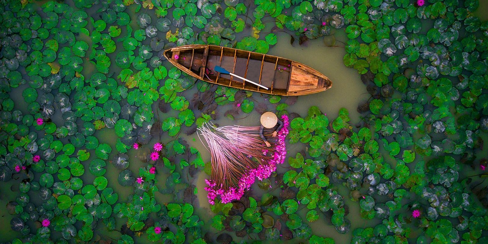 Lời Hành Trình Trên Đất Phù Sa Gallery 1