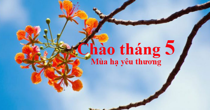 Tháng 5 Rực Rỡ: Khám Phá Vẻ Đẹp Và Hoạt Động Tháng Năm Gallery 1