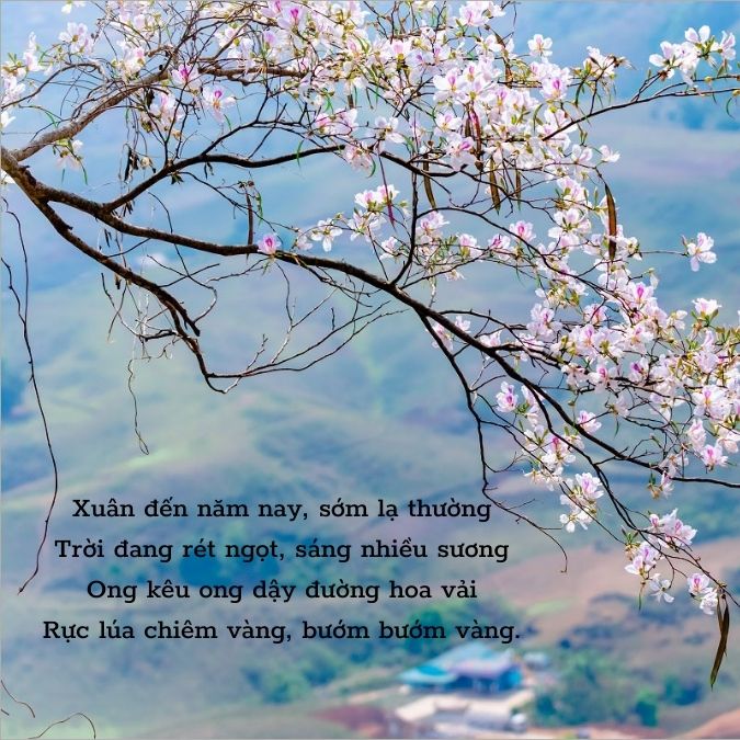 Thơ Nói Về Mùa Xuân: Tuyển Tập Thơ Hay Về Mùa Xuân Gallery 1