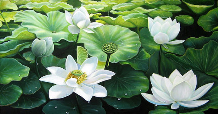 Trong đầm gì đẹp bằng sen Gallery 1