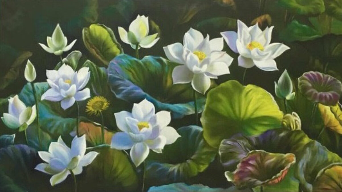Trong đầm gì đẹp bằng sen lá xanh bông trắng lại chen nhị vàng? Gallery 1