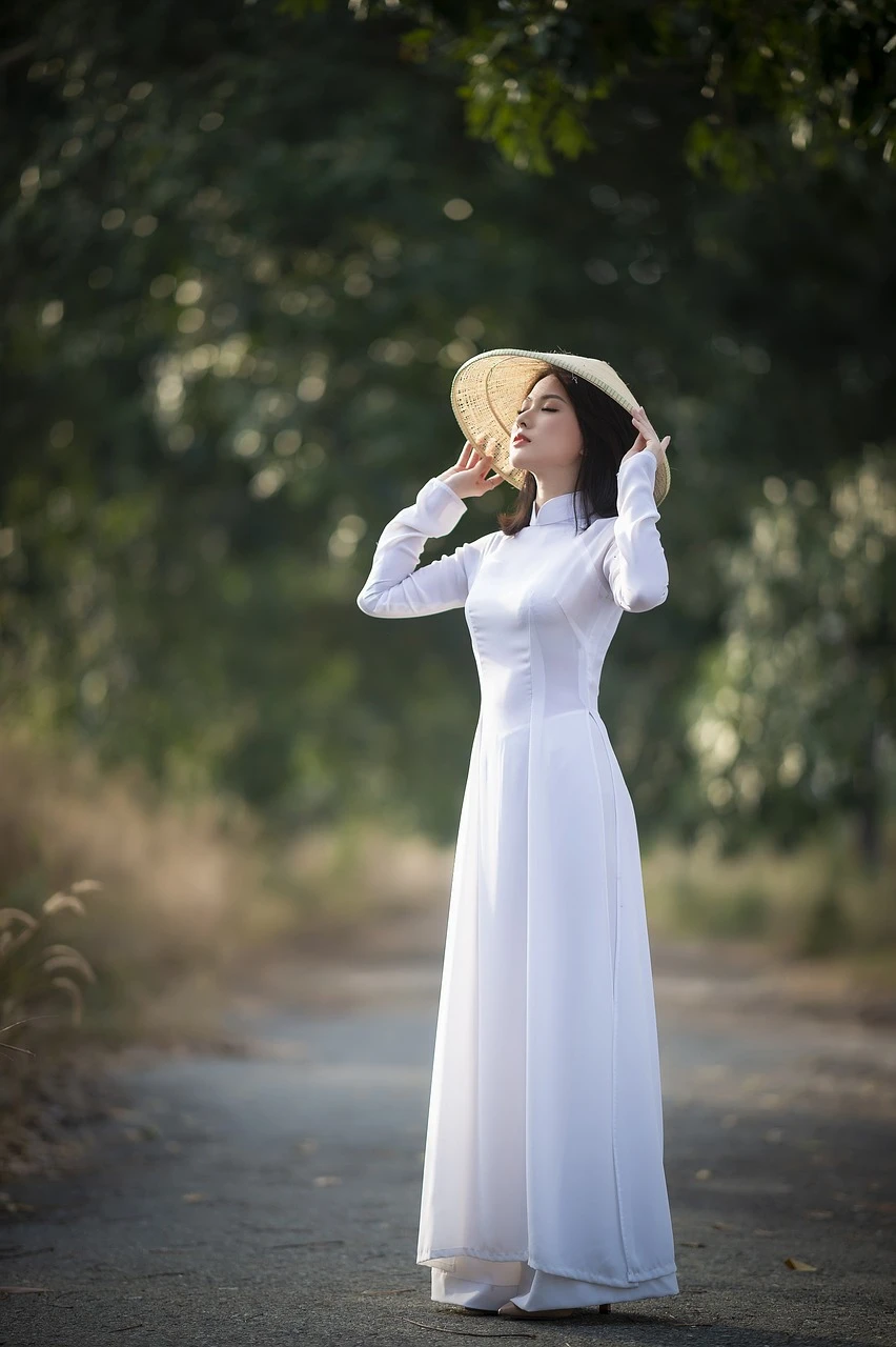 Ý nghĩa của Áo dài Việt Nam Gallery 2