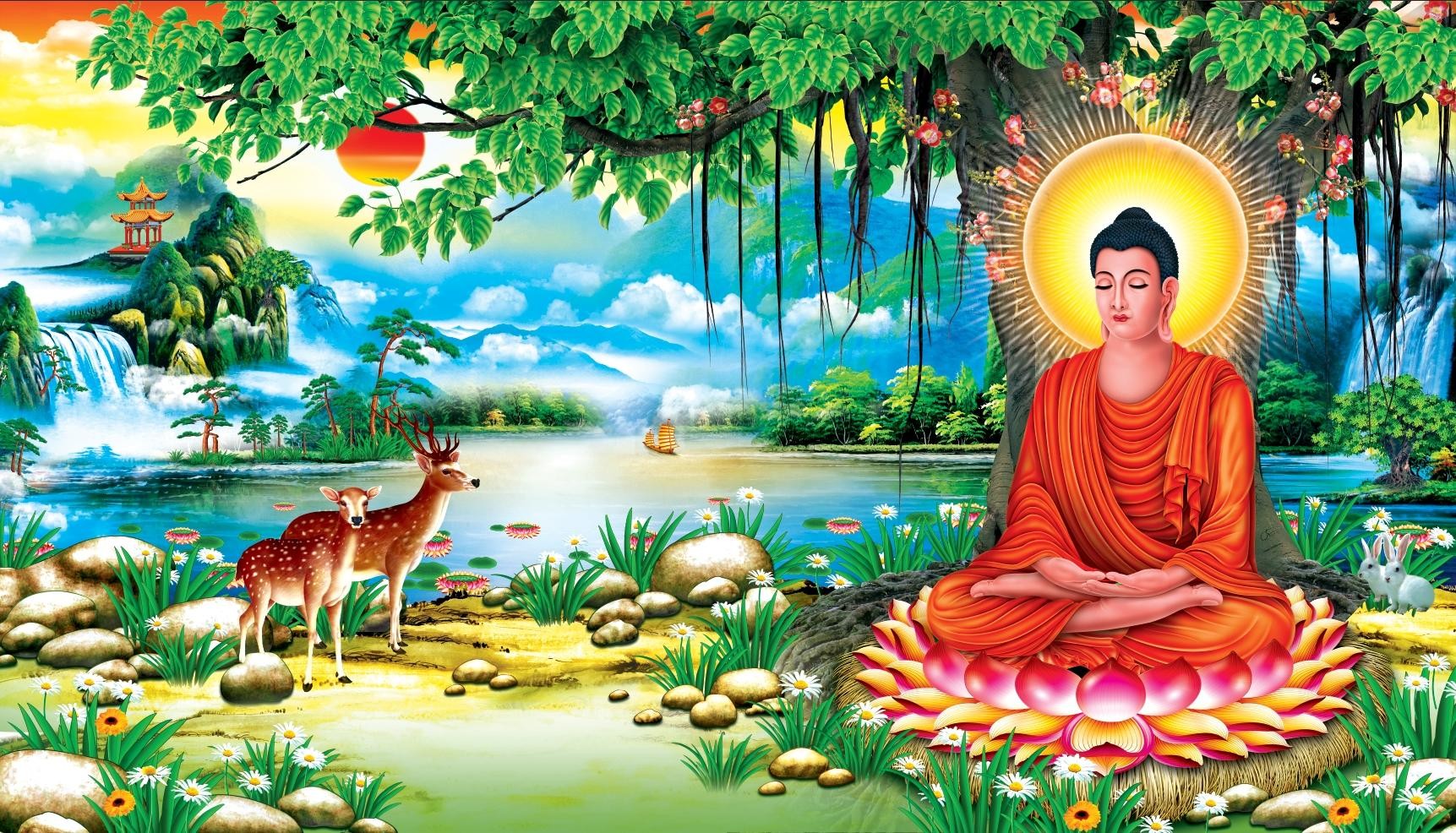 Dưới Gốc Cây Bồ Đề Gallery 2
