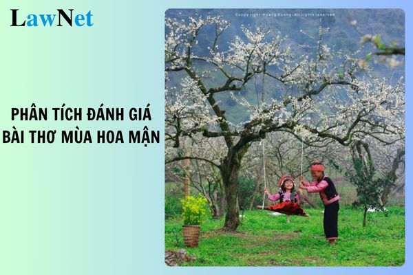 Phân tích và Đánh giá Mùa Hoa Mận Gallery 2