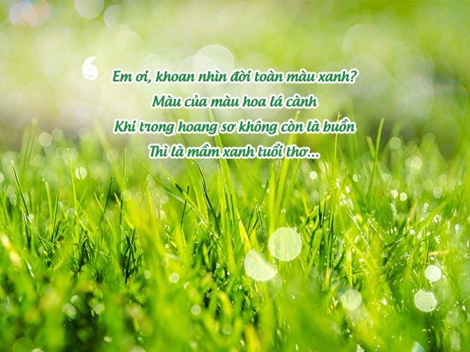 Thơ về cây xanh – Gợi cảm hứng từ thiên nhiên tươi đẹp Gallery 1