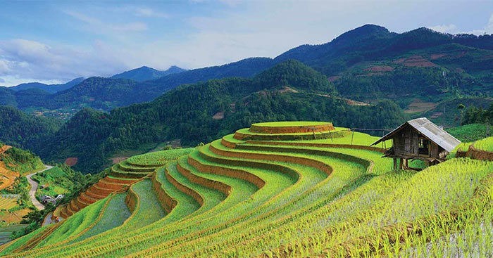 Phân tích vẻ đẹp nhân vật Anh thanh niên trong Lặng lẽ Sa Pa Gallery 2