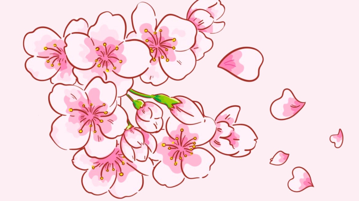 Vẽ Hoa Đào Rơi