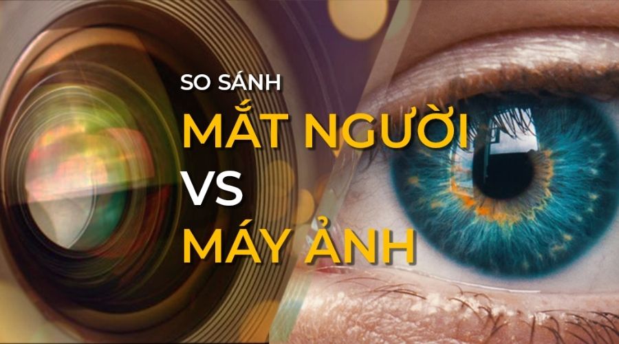 So sánh Mắt Người và Máy Ảnh: Sự Khác Biệt và Giống Nhau Gallery 1