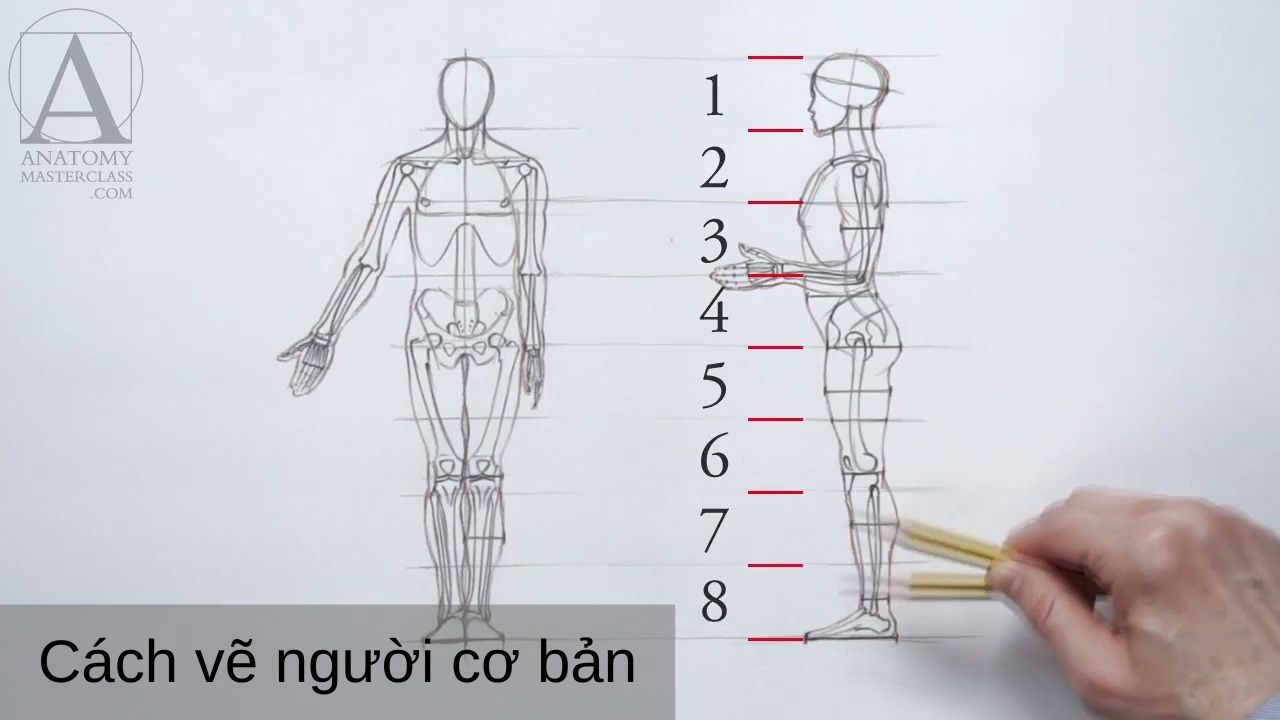 Cách Vẽ Người Lớp 5: Hướng Dẫn Đơn Giản và Dễ Hiểu Gallery 1