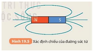 Vẽ và Xác Định Chiều Đường Sức Từ
