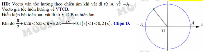 Vecto vận tốc luôn hướng về đâu?