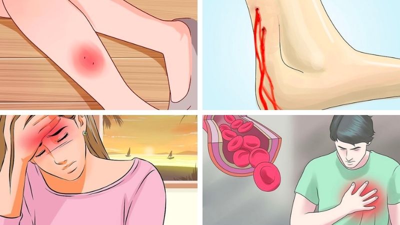 Rắn ráo cắn có độc không? Gallery 2