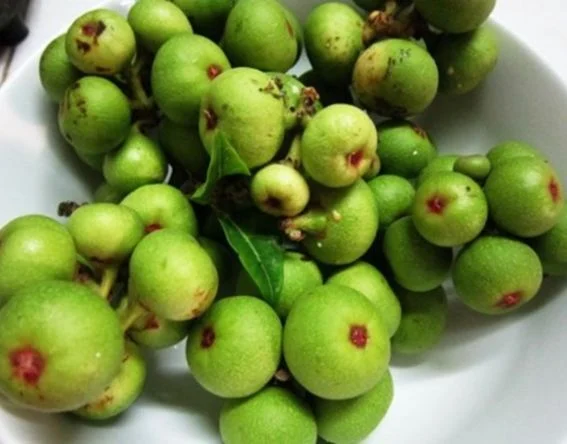 What is the English word for "vị chát"?