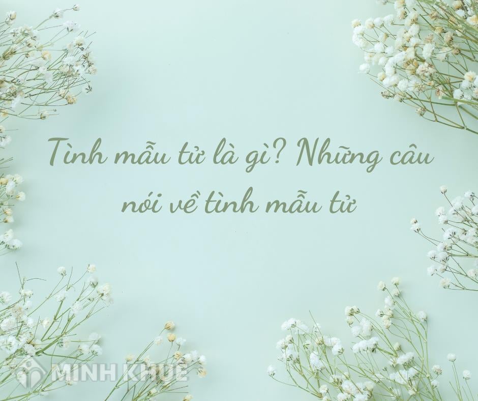 Ví dụ về tình mẫu tử thiêng liêng Gallery 2