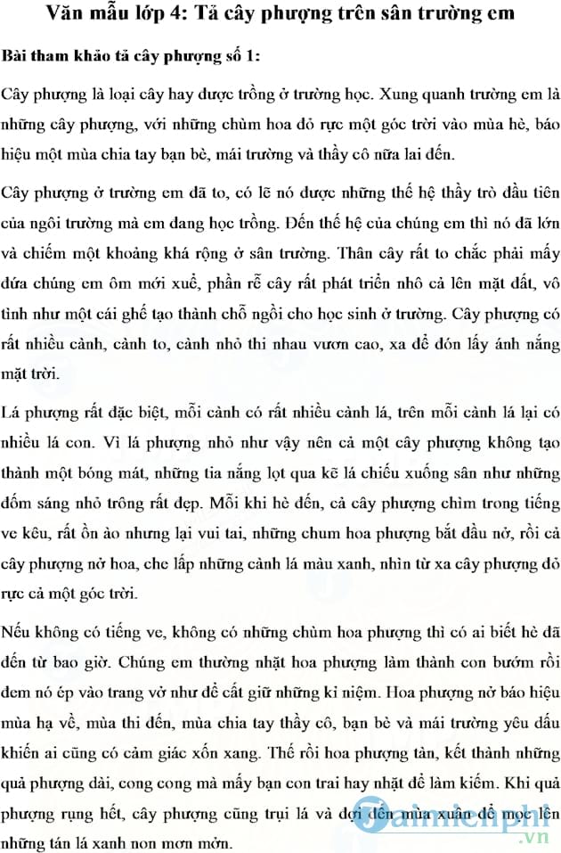 Viết Bài Văn Miêu Tả Cây Cối Gallery 2