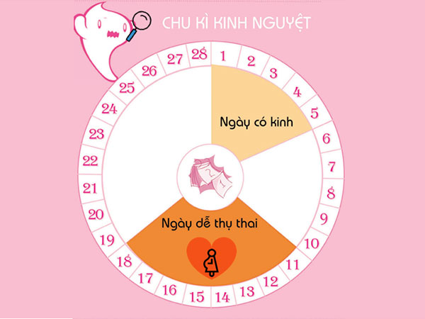 Cách Tính Chu Kỳ Kinh Nguyệt Gallery 2