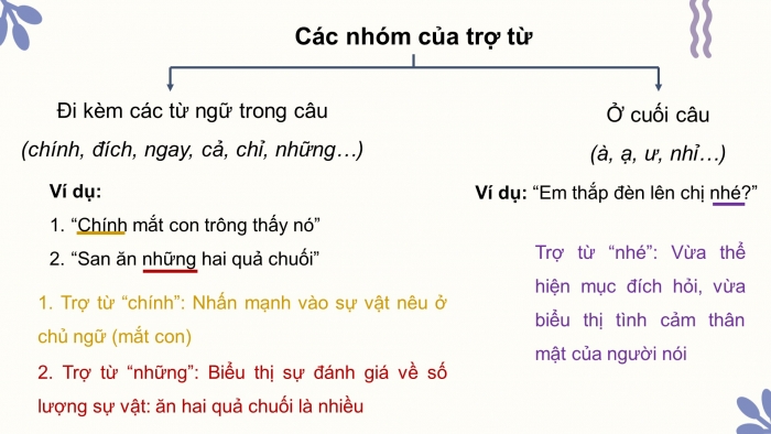 Ví dụ của trợ từ trong Tiếng Việt Gallery 2