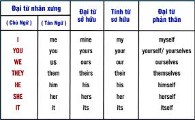 Ví dụ Đại từ Nhân xưng trong Tiếng Việt Gallery 2