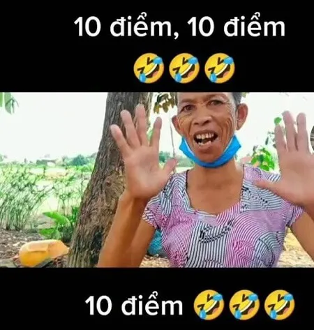 Hình Ảnh Điểm 10: Hướng Dẫn Chi Tiết & Tiêu Chí Đánh Giá Gallery 2